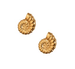 Gold Tone Waterproof Shell Swirl Stud Earrings, £12.99 (944019493)