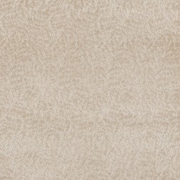 AW23 DG Weaves Flatshots