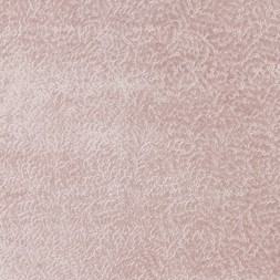 AW23 DG Weaves Flatshots