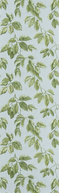 JANGAL_PDG1127_03