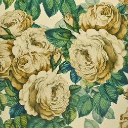 THE ROSE - SEPIA