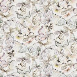 PAPILLONS - SHELL
