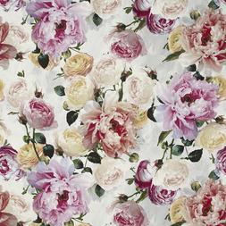 TOURANGELLE - PEONY