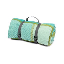 National Trust waterproof backed picnic rug, blue and green check