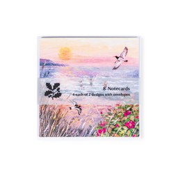 National Trust ‘Coastal Sunsets’ notecards by Lucy Grossmith