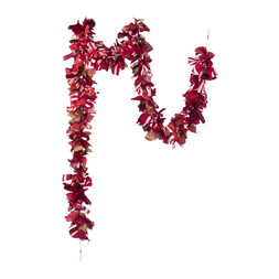 50071481 £15 Red Recycled Sari Tinsel 2m