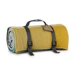 50080881 £48 Jade & Yellow Check Rug