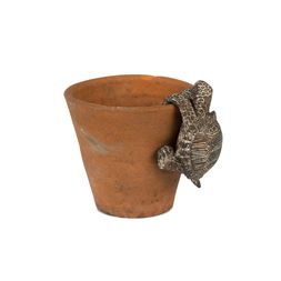 Pot hanger, tortoise