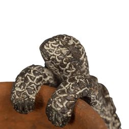 Pot hanger, tortoise