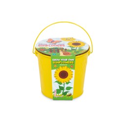 Children's Grow Your Own Bucket, Sunflowers