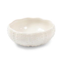 White sea urchin bowl