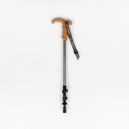 Wanderer lock walking pole
