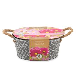 Cosmos dwarf zinc planter
