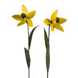 Daffodill Plant Stake, Set of 2_36