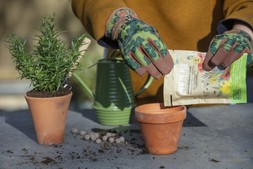 National Trust gardening lifestyle, landscape