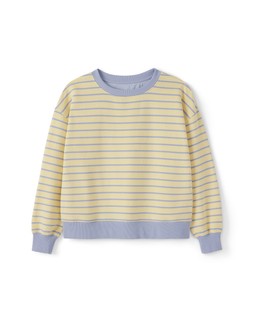 Stripe Crew Neck Sweater £35 (AA15914P)