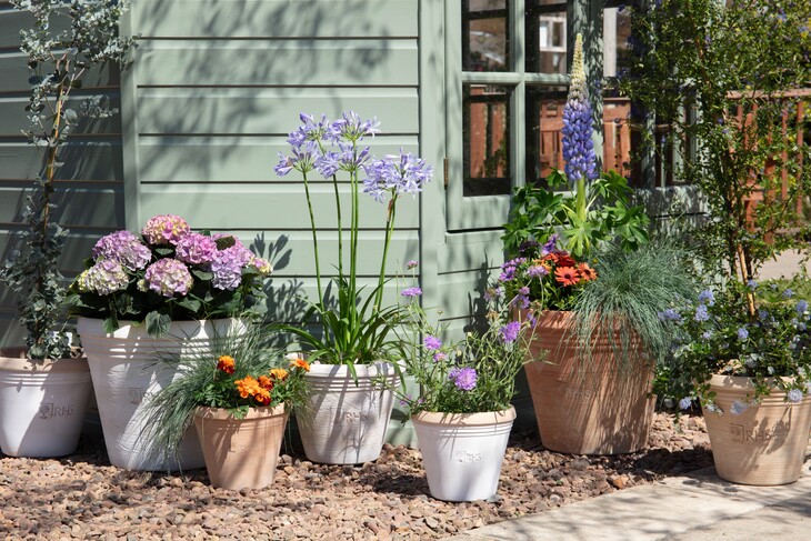 dobbies garden centres-summer pots-ref2342958