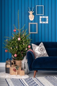https://az.prshots.es/contents/archives/2441/1193/images/thumb350x287_auto/michael_murphy_home_furnishing_dsc07949_thumb.jpg