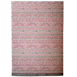 Patterned Paper Charleston Meander