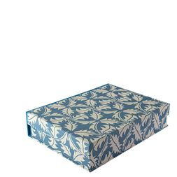 A5 Box File Dandelion Blue
