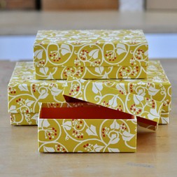 A Nest of Three Simple Boxes in Ivy Piccalilli