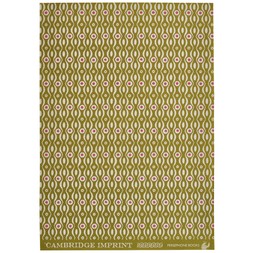 Patterned Paper Persephone Bright Olive and Cool Pink