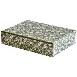 A4 Box File Small Ivy Stripe Sage Green