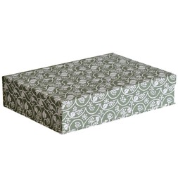 A4 Box File Small Ivy Stripe Sage Green