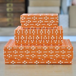 A Nest of Three Simple Boxes in Ugizawa Neon