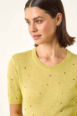Rome Lime Scattered Hotfix Knitted Top