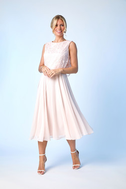 Roman Petite Light Pink Chiffon Overlay Lace Midi Dress