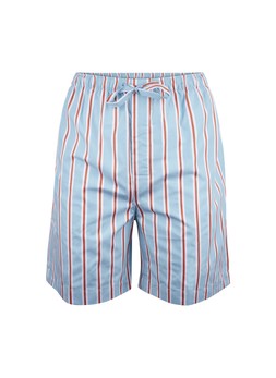 TK Maxx Men stripes swimmimg shorts £29.99 ( RRP £135.00)