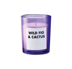 Bedroom - Wild Fig Cactus, Purple Candle &pound;4.49