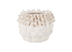 Homesense cream plant pot £15.00 ( RRP £)