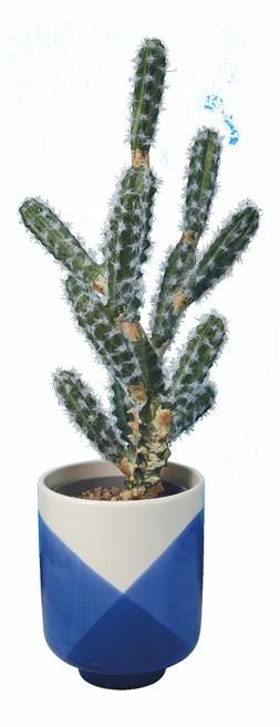 Living Room - Blue Planter &pound;12.99, Cactus &pound;39.99