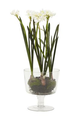 White Flowers in Glass Pot