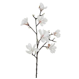 Homesense Image Id 824448