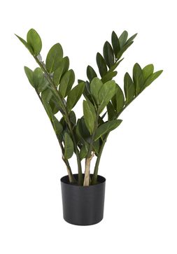 artificial plant &pound;19.99