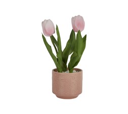 fake flowers - Tulips &pound;12.99