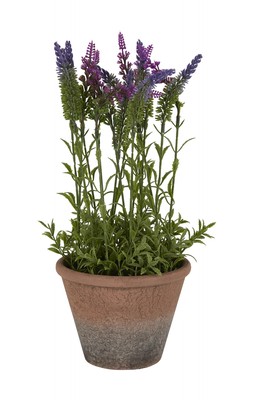 Homesense - fake lavender pot &pound;7.99 (RRP &pound;XX)