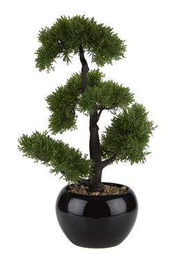 HOMESENSE FAUX BONSAI &pound;24.99