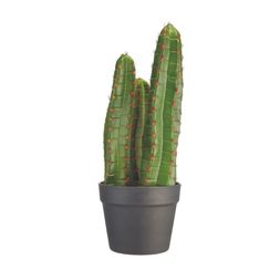 Homesense - Faux Cactus, &pound;16.99