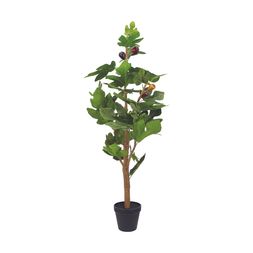 Homesense - Fig Plant, &pound;19.99