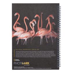 Homesense - Flamingo Notebook, &pound;5.99 (5)