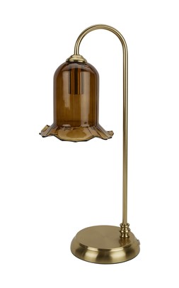 Homesense - gold lamp £19.99