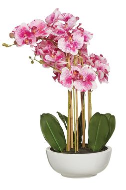 regency pink faux orchid &pound;49.99