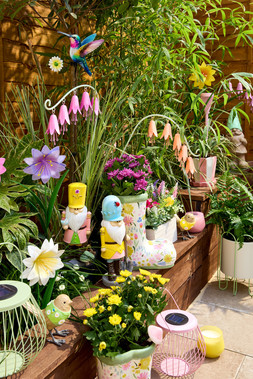 GARDEN LIFE - OUTDOOR GNOMES CAMEO 1 FLOWER COMP