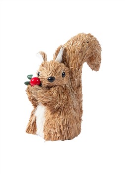 Bristle squirrel with red berry