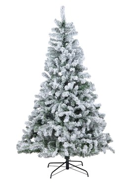 Royal Snowy Fir 6ft pre -Lit tree