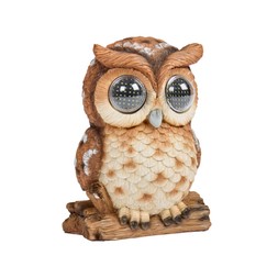 Blinkin' Bunch Owl Large